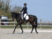 Image 65 in BROADLAND EQUESTRIAN CENTRE. DRESSAGE. 13 APRIL 2019
