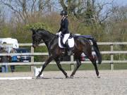 Image 66 in BROADLAND EQUESTRIAN CENTRE. DRESSAGE. 13 APRIL 2019