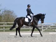 Image 67 in BROADLAND EQUESTRIAN CENTRE. DRESSAGE. 13 APRIL 2019