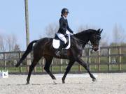 Image 69 in BROADLAND EQUESTRIAN CENTRE. DRESSAGE. 13 APRIL 2019