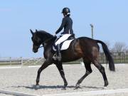 Image 76 in BROADLAND EQUESTRIAN CENTRE. DRESSAGE. 13 APRIL 2019