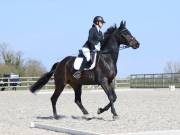 Image 78 in BROADLAND EQUESTRIAN CENTRE. DRESSAGE. 13 APRIL 2019