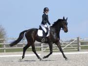 Image 81 in BROADLAND EQUESTRIAN CENTRE. DRESSAGE. 13 APRIL 2019