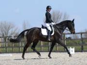 Image 83 in BROADLAND EQUESTRIAN CENTRE. DRESSAGE. 13 APRIL 2019