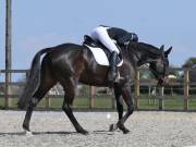 Image 84 in BROADLAND EQUESTRIAN CENTRE. DRESSAGE. 13 APRIL 2019