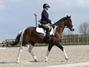 Image 89 in BROADLAND EQUESTRIAN CENTRE. DRESSAGE. 13 APRIL 2019