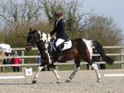 Image 9 in BROADLAND EQUESTRIAN CENTRE. DRESSAGE. 13 APRIL 2019