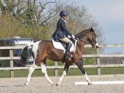 Image 92 in BROADLAND EQUESTRIAN CENTRE. DRESSAGE. 13 APRIL 2019