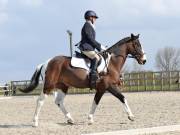 Image 95 in BROADLAND EQUESTRIAN CENTRE. DRESSAGE. 13 APRIL 2019