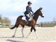 Image 98 in BROADLAND EQUESTRIAN CENTRE. DRESSAGE. 13 APRIL 2019