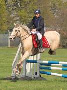Image 10 in IPSWICH HORSE SOCIETY SPRING SHOW. 22 APRIL 2019