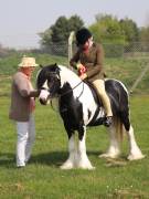Image 103 in IPSWICH HORSE SOCIETY SPRING SHOW. 22 APRIL 2019