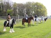 Image 106 in IPSWICH HORSE SOCIETY SPRING SHOW. 22 APRIL 2019