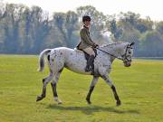 Image 109 in IPSWICH HORSE SOCIETY SPRING SHOW. 22 APRIL 2019