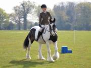 Image 111 in IPSWICH HORSE SOCIETY SPRING SHOW. 22 APRIL 2019