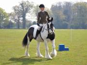 Image 111 in IPSWICH HORSE SOCIETY SPRING SHOW. 22  APRIL 2019