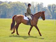 Image 112 in IPSWICH HORSE SOCIETY SPRING SHOW. 22 APRIL 2019