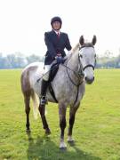 Image 117 in IPSWICH HORSE SOCIETY SPRING SHOW. 22 APRIL 2019