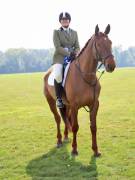 Image 119 in IPSWICH HORSE SOCIETY SPRING SHOW. 22 APRIL 2019