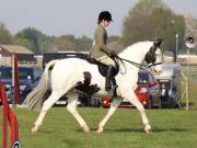 Image 12 in IPSWICH HORSE SOCIETY SPRING SHOW. 22 APRIL 2019
