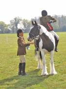 Image 120 in IPSWICH HORSE SOCIETY SPRING SHOW. 22 APRIL 2019