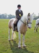 Image 121 in IPSWICH HORSE SOCIETY SPRING SHOW. 22 APRIL 2019