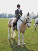 Image 121 in IPSWICH HORSE SOCIETY SPRING SHOW. 22  APRIL 2019