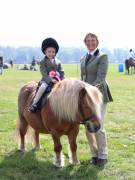 Image 124 in IPSWICH HORSE SOCIETY SPRING SHOW. 22  APRIL 2019