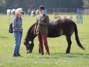Image 126 in IPSWICH HORSE SOCIETY SPRING SHOW. 22  APRIL 2019