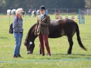 Image 126 in IPSWICH HORSE SOCIETY SPRING SHOW. 22 APRIL 2019