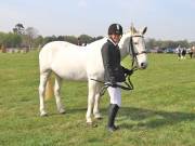Image 130 in IPSWICH HORSE SOCIETY SPRING SHOW. 22 APRIL 2019