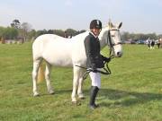 Image 130 in IPSWICH HORSE SOCIETY SPRING SHOW. 22  APRIL 2019