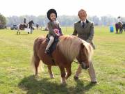 Image 131 in IPSWICH HORSE SOCIETY SPRING SHOW. 22 APRIL 2019