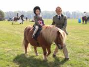 Image 131 in IPSWICH HORSE SOCIETY SPRING SHOW. 22  APRIL 2019