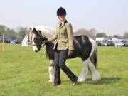 Image 133 in IPSWICH HORSE SOCIETY SPRING SHOW. 22  APRIL 2019