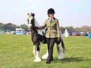 Image 134 in IPSWICH HORSE SOCIETY SPRING SHOW. 22  APRIL 2019