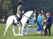 Image 14 in IPSWICH HORSE SOCIETY SPRING SHOW. 22  APRIL 2019