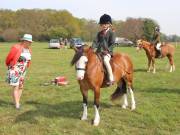 Image 140 in IPSWICH HORSE SOCIETY SPRING SHOW. 22  APRIL 2019