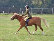 Image 148 in IPSWICH HORSE SOCIETY SPRING SHOW. 22  APRIL 2019