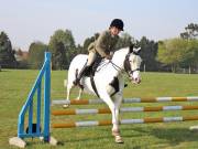 Image 15 in IPSWICH HORSE SOCIETY SPRING SHOW. 22 APRIL 2019