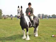 Image 150 in IPSWICH HORSE SOCIETY SPRING SHOW. 22 APRIL 2019