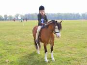 Image 151 in IPSWICH HORSE SOCIETY SPRING SHOW. 22  APRIL 2019