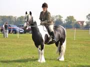 Image 153 in IPSWICH HORSE SOCIETY SPRING SHOW. 22 APRIL 2019
