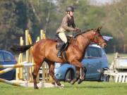 Image 16 in IPSWICH HORSE SOCIETY SPRING SHOW. 22 APRIL 2019