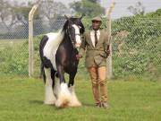 Image 165 in IPSWICH HORSE SOCIETY SPRING SHOW. 22  APRIL 2019