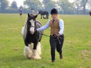 Image 169 in IPSWICH HORSE SOCIETY SPRING SHOW. 22  APRIL 2019