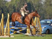 Image 17 in IPSWICH HORSE SOCIETY SPRING SHOW. 22 APRIL 2019