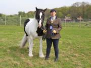 Image 177 in IPSWICH HORSE SOCIETY SPRING SHOW. 22  APRIL 2019