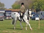 Image 18 in IPSWICH HORSE SOCIETY SPRING SHOW. 22 APRIL 2019