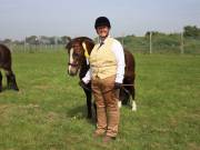 Image 182 in IPSWICH HORSE SOCIETY SPRING SHOW. 22 APRIL 2019